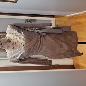 Akira short Small Shimmering Silver Dress